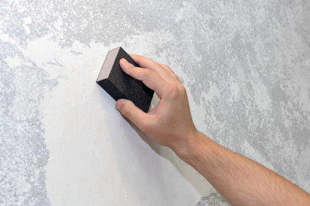 Best Basement Mold Removal  in Wilton Center, CT