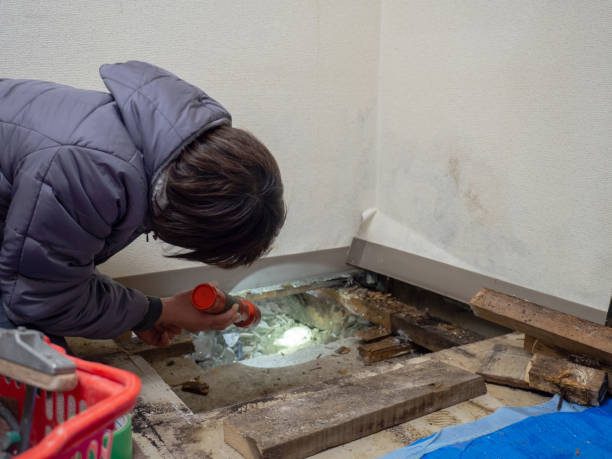Best Industrial Mold Remediation  in Wilton Center, CT