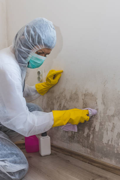 Best Asbestos and Lead Testing During Mold Inspection  in Wilton Center, CT