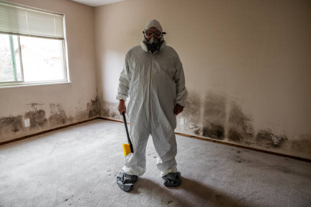 Best Comprehensive Air Testing for Mold Contaminants  in Wilton Center, CT